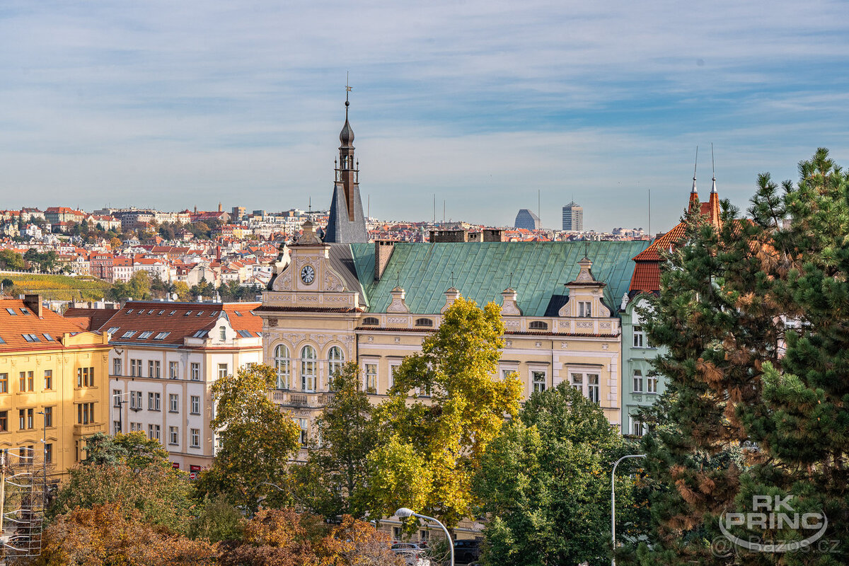 PRODEJ BYTU 2+1/3+kk, 89 m², BALKON + LODŽIE, POD SOKOLOVNO - 18