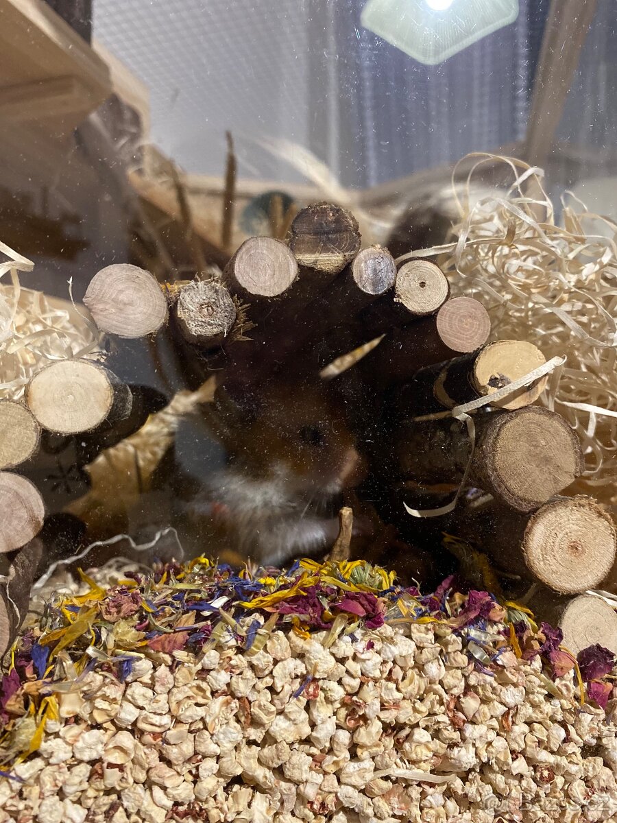 KLEC PRO KŘEČKA - 18