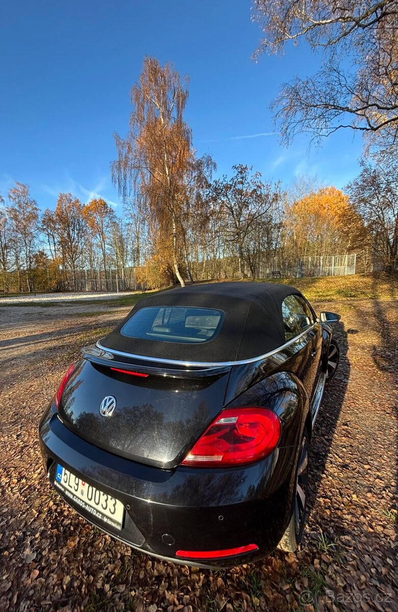 New beetle cabrio - 18