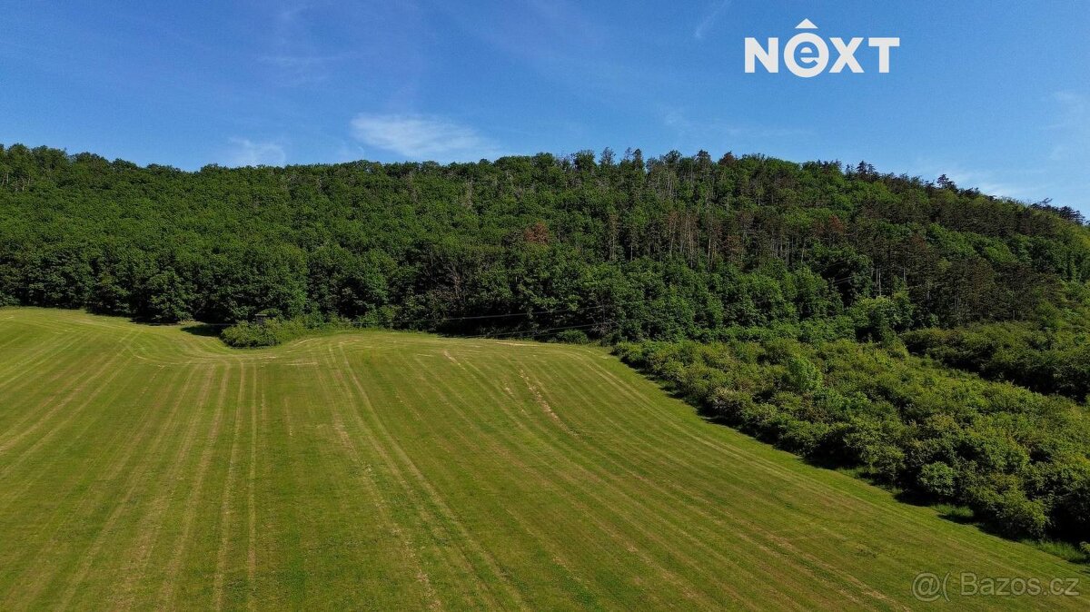 Prodej pozemek Lesy, 3149㎡ - 18