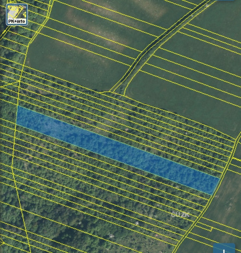 Lesní pozemek Šarovy - 18