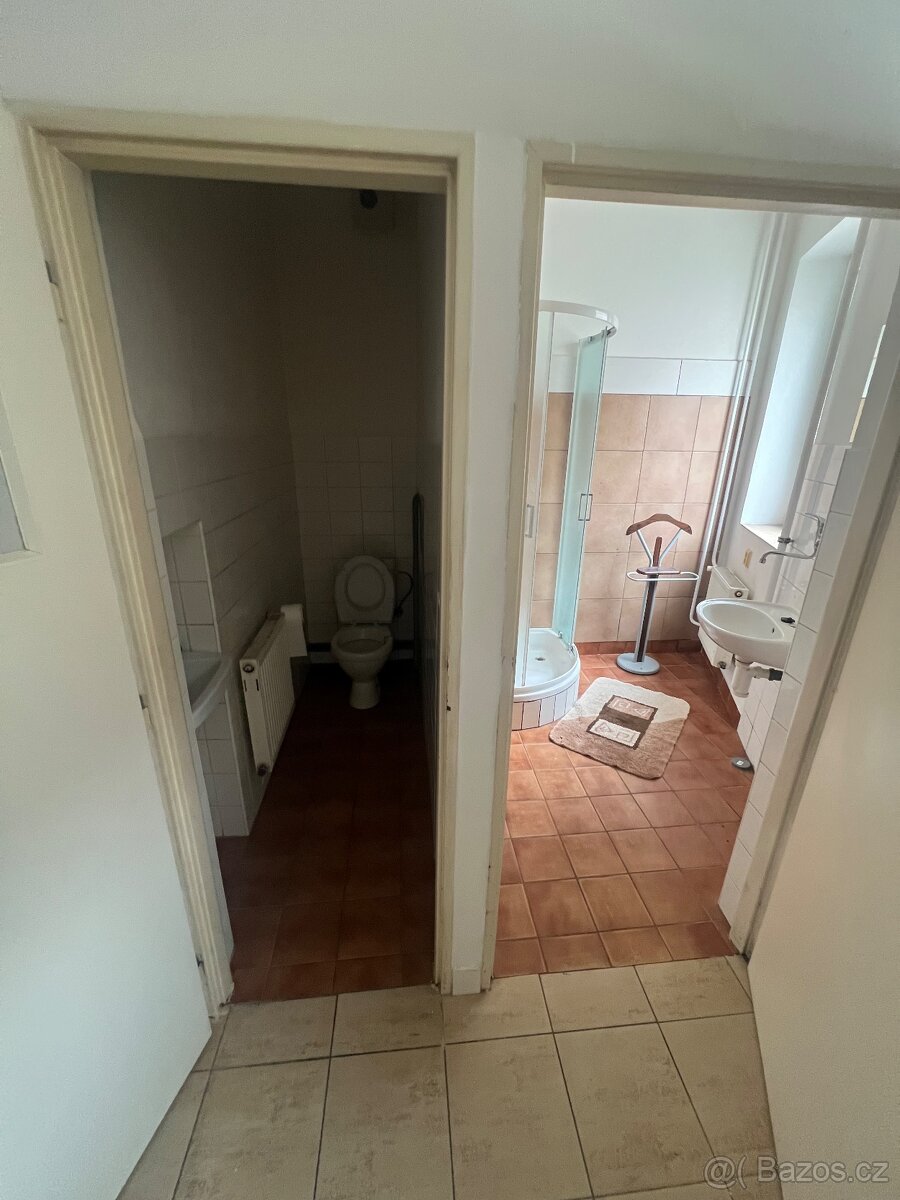 ubytovna, byt, Dolní Cerekev - 18