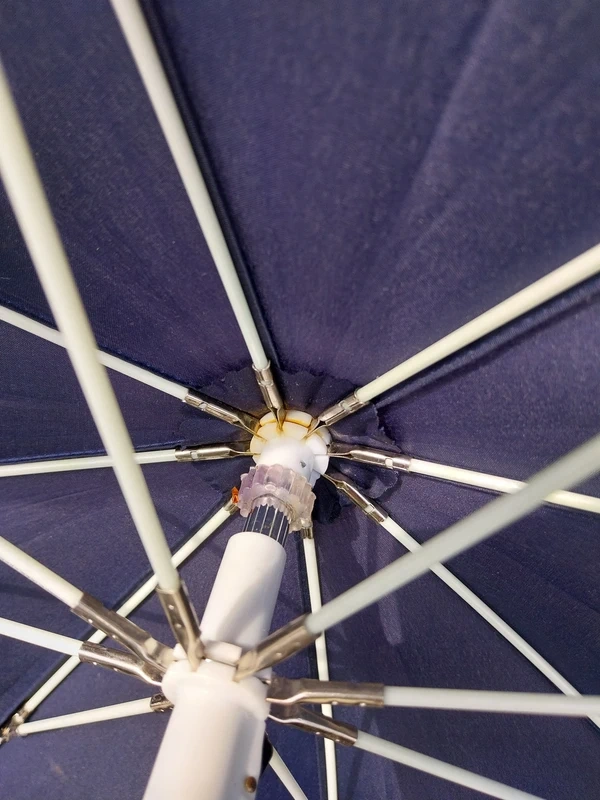 Kočárek Tudore Forester - 18