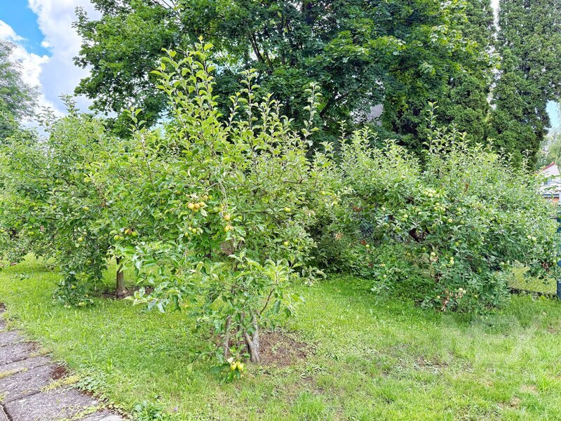 Prodej bytu 2+1 s garáží v Chocni, v ulici Stromovka - 18