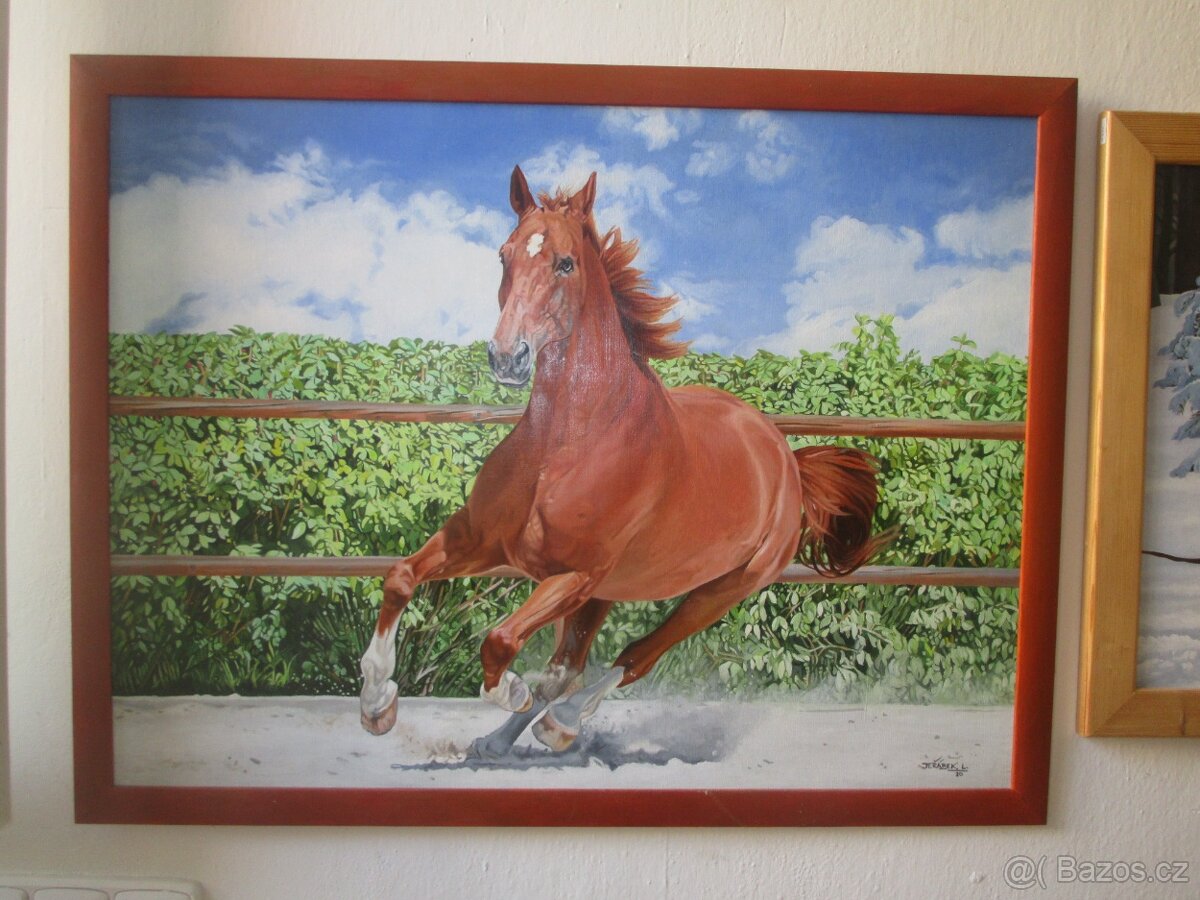 Realistické obrazy-ruční malba-olejomalba - 18