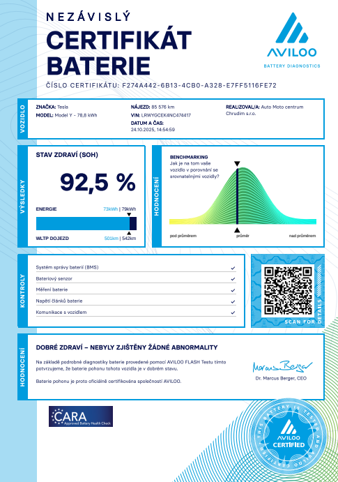 Tesla Model Y Long Range Dual Motor 378kW SOH 92,5 % - 18