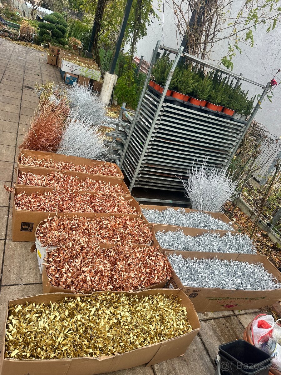 Prodej jmelí 2025🌿 - 18