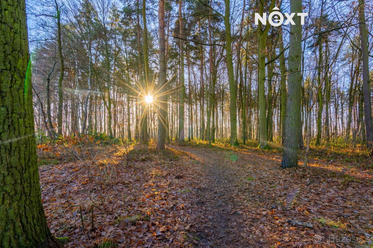 Prodej Rodinný dům, 163㎡ - 18