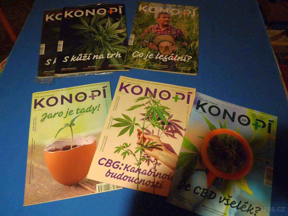 Tajemné knihy a čas. Enigma, Svět na dlani, Legalizace - 18