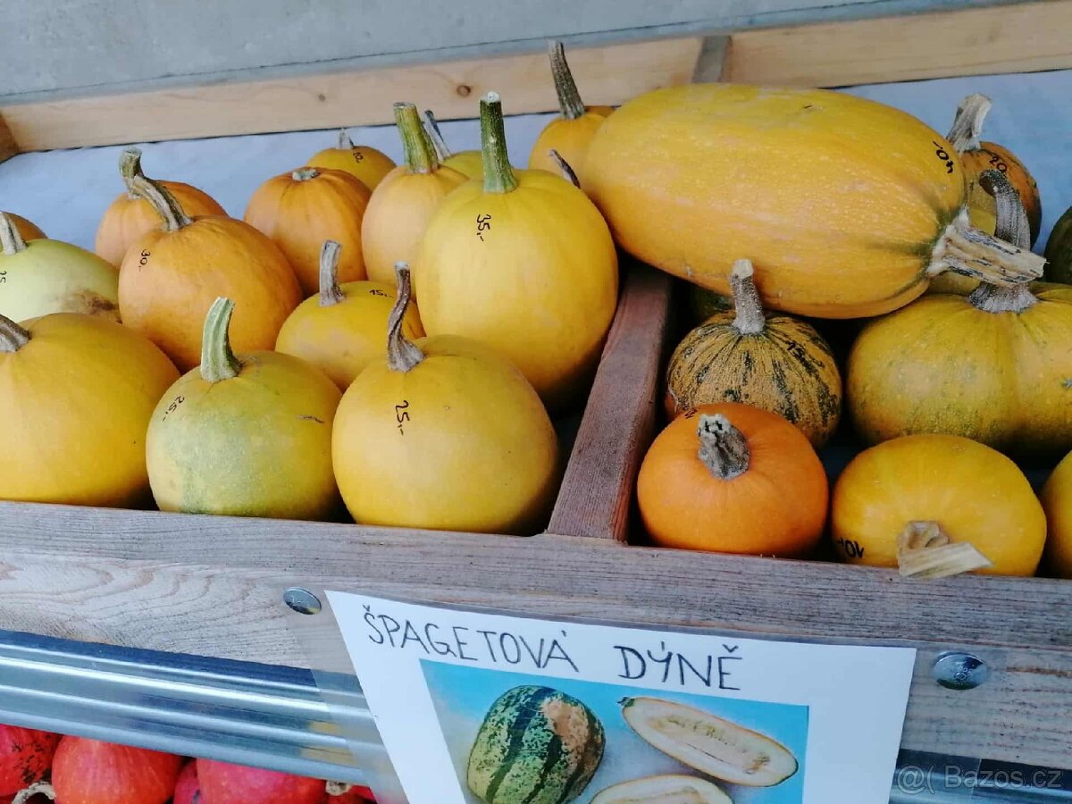 Prodej dýní - 18
