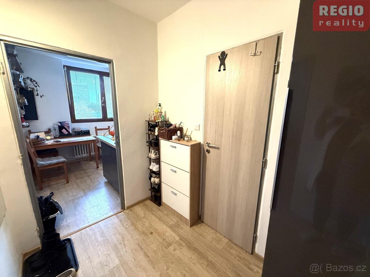 Prodej bytu 1+1 s lodžií, Malý Koloredov, Frýdek-Místek - 18