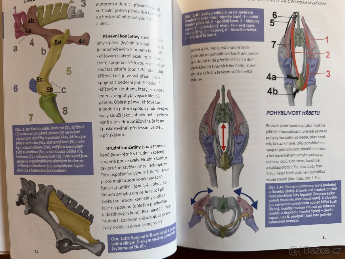 Jezdecké knihy Ingrid Klimke - 18
