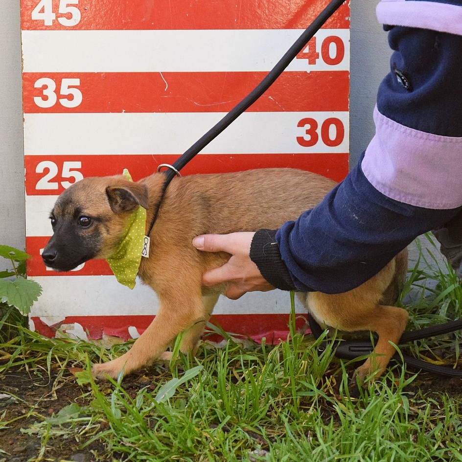 Samko hledá domov - 18