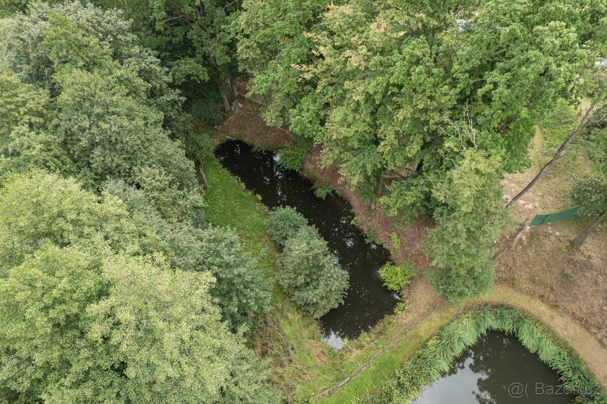 Rodinný dům na samotě s rybníkem, Ludvíkov u Velkých Losin - 18