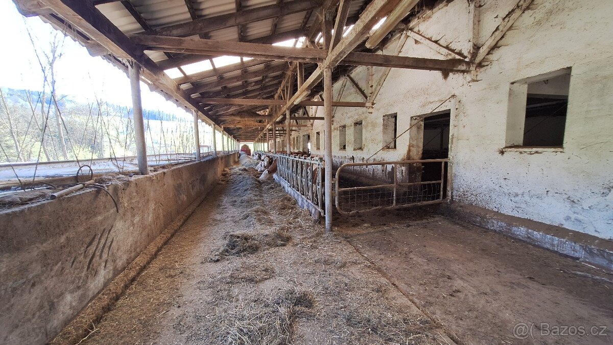 Prodej zemědělského areálu - 18