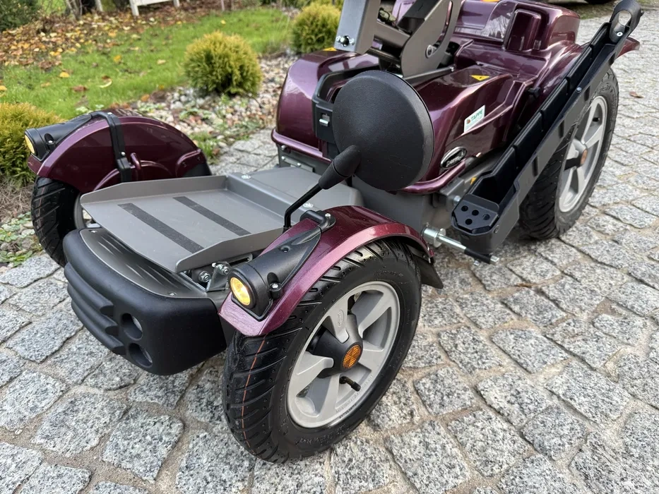 Terenny elekrticky vozik - 18