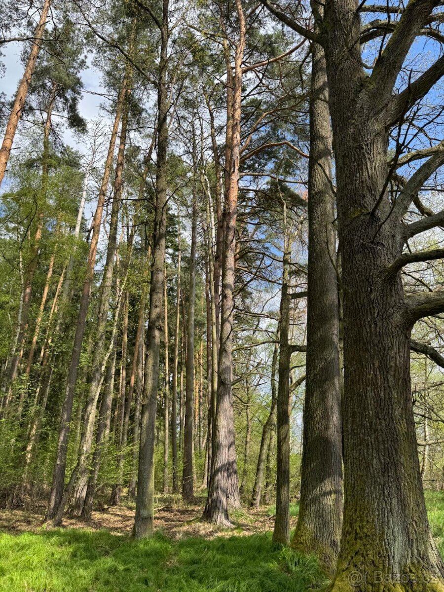 Prodám pozemky v katastrálním území Mníšek - 18