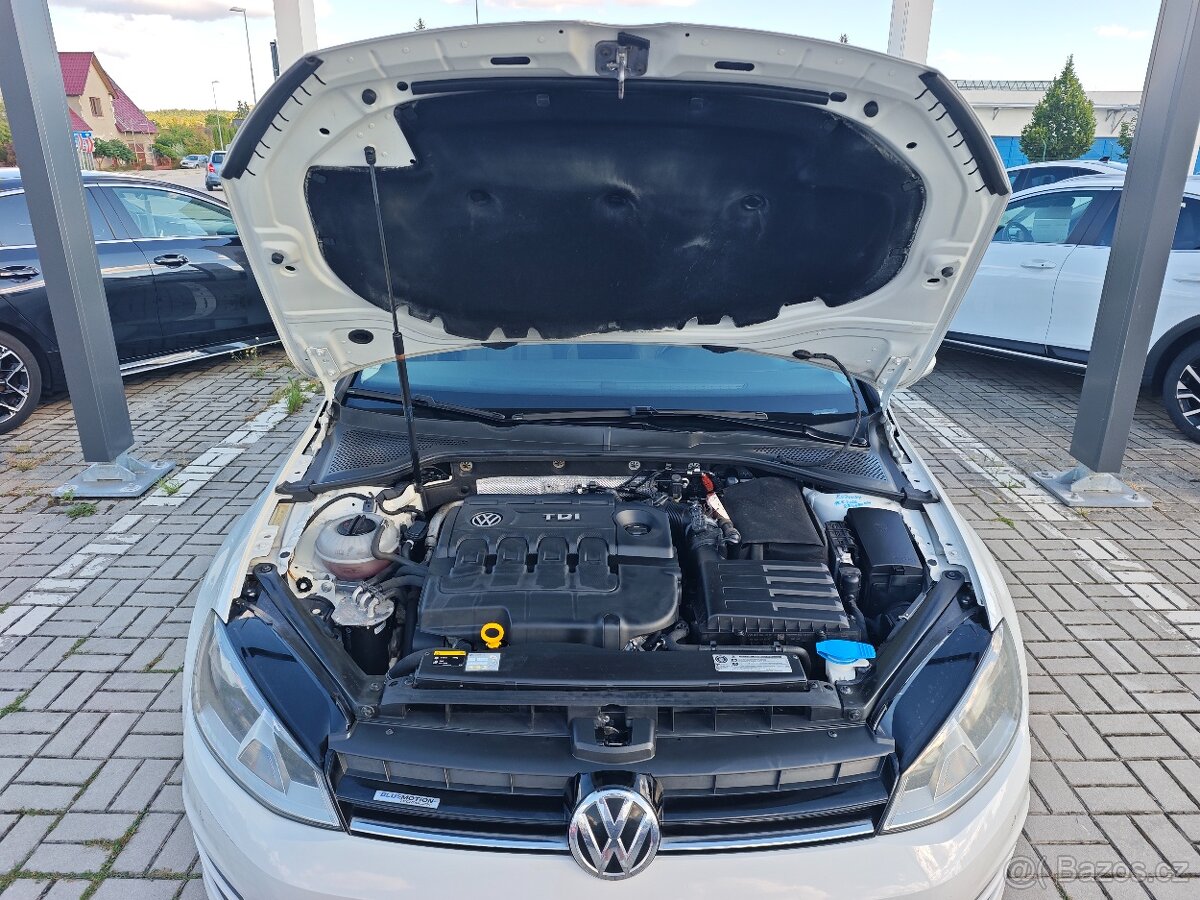 Golf Variant Comfortline 1.6TDI BMT 81kW - 18