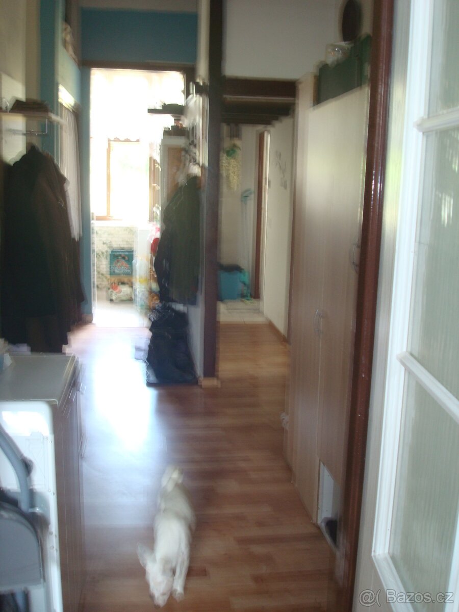 Prodej nebo výměna - 18