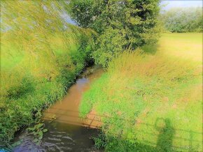 Prodej zahrady 200 m² Třesovice - Popovice - 18
