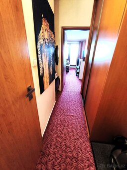 1+kk os. vl., centrum Ostravy, rekonstrukce, cena k jednání. - 18
