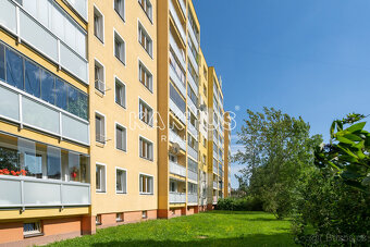 Prodej družstevního bytu 3+1[77m2] s lodžií, ulice Hulvácká, - 18