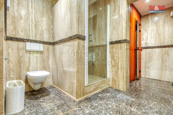 Prodej rodinného domu, 218 m², Psáry, ul. Pod Skalkou - 18