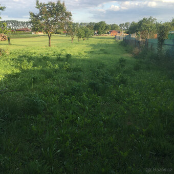 Prodej RD se zahradou, Hrušovany nad Jevišovkou, okres Znojm - 18