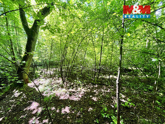 Prodej vodní plochy, 3255 m², Skalice u České Lípy - 18