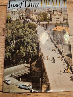 KARTY AUT, VĚŠÁČEK,HOUBIČKA DŘEVĚNÁ NA ŠÍTÍ, - 18
