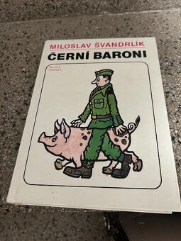 Knižní nabídka,  knihy v krásném stavu, ceny v textu - 18