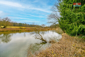 Prodej, les, 3632 m2, Zruč-Senec - 18