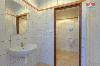 Prodej multifunkčního objektu, 1050 m², Zbizuby - 18