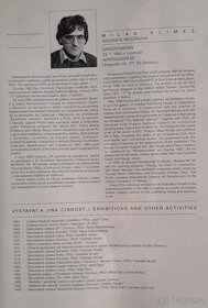 Velký obraz - Milan Klimeš 1972 - olej plátno 6789 - 18