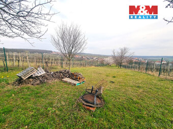 Prodej ovocného sadu, 4096 m², Starý Poddvorov - 18