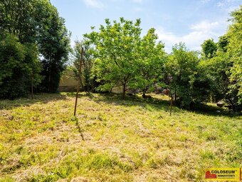 Bohdalice-Pavlovice, RD k celkové rekonstrukci, zahrada - ro - 18