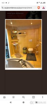 RD u Berouna 11+3 ,,RK a zprostředkovatele nevolat - 18