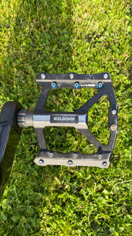 Canyon Strive CF 7.0 2019 - 18