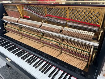 Steinway &Sons se zárukou 2 roky, doprava zdarma. - 18