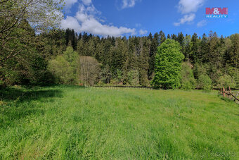 Prodej pozemku k bydlení, 4185 m², Rejštejn - 18