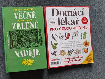 Gril elektrický SENCOR 59 x 32 cm - 18