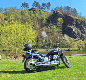 Yamaha Dragstar 650 XVS Custom - 18