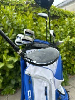 Prodám špičkový pánský golfový set zn. COBRA - 18