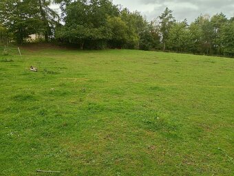 Zahrada v intravilánu obce, výměra: 7.428 m2. - 18