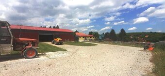 Nabízíme  k prodeji jezdecký areál s halou, kolbištěm, výběh - 18
