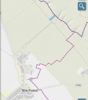 Lesní pozemek Bílé Podolí - 18