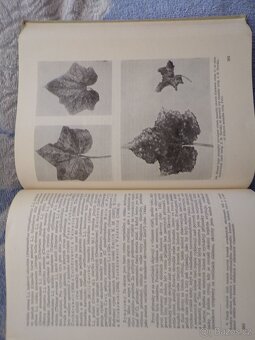 Zemědělská Fytopatologie 1, 2, 3. - 18