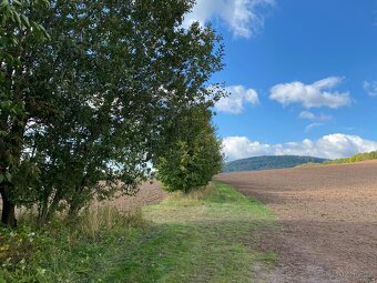 Lesní pozemek a pozemek ostatní plocha Horní Lánov - 18