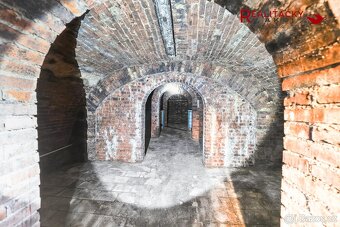 Rodinný dům s prostornou garáží, dílnou, vinným sklepem a vý - 18