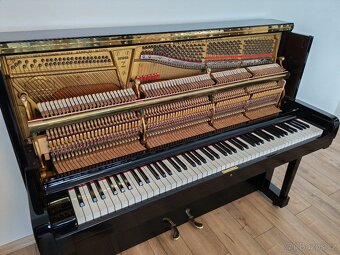Steinway and Sons. Prestížny klavír najvyššej kvality. - 18